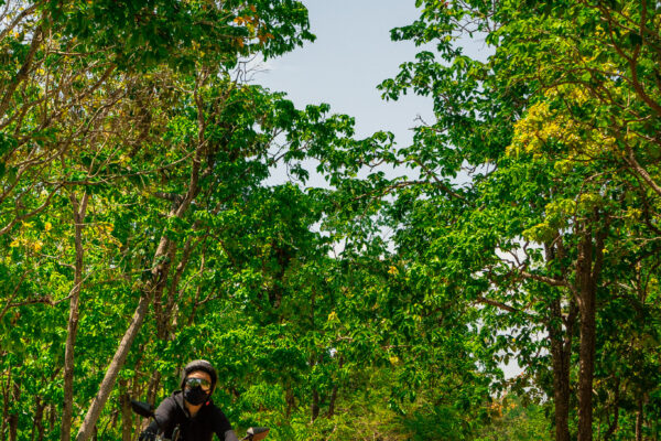 ที่เที่ยวกาฬสินธุ์_ผาสวย_ภูพระ_ท่าคันโท-4 ที่เที่ยวกาฬสินธุ์_ผาสวย_ภูพระ_ท่าคันโท-4