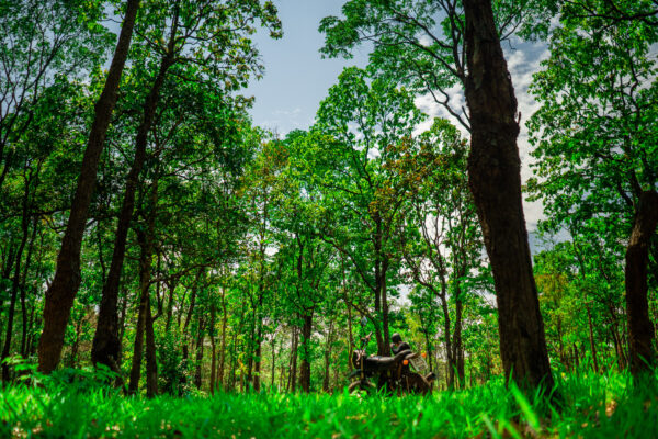 ที่เที่ยวกาฬสินธุ์_ผาสวย_ภูพระ_ท่าคันโท-7 ที่เที่ยวกาฬสินธุ์_ผาสวย_ภูพระ_ท่าคันโท-7