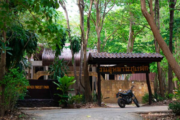 ที่เที่ยวกาฬสินธุ์_ภูแฝก-02 ที่เที่ยวกาฬสินธุ์_ภูแฝก-02