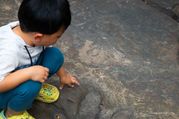 ที่เที่ยวกาฬสินธุ์_ภูแฝก-15 ที่เที่ยวกาฬสินธุ์_ภูแฝก-15