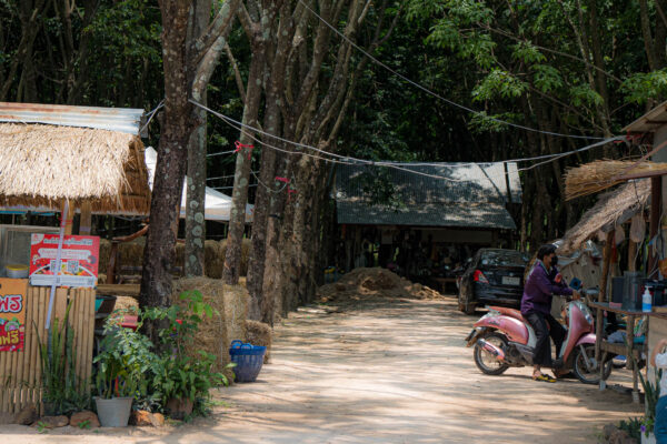 ที่เที่ยวกาฬสินธุ์_ภูน้ำจั้น-6 ที่เที่ยวกาฬสินธุ์_ภูน้ำจั้น-6