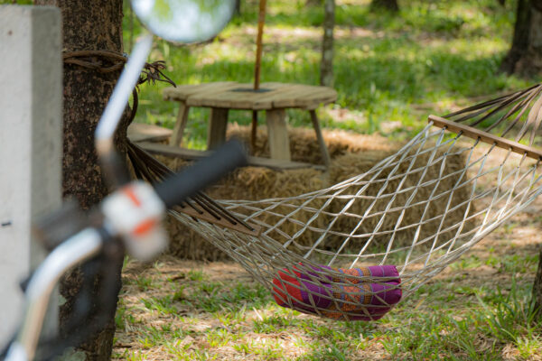 ที่เที่ยวกาฬสินธุ์_ภูน้ำจั้น-7 ที่เที่ยวกาฬสินธุ์_ภูน้ำจั้น-7