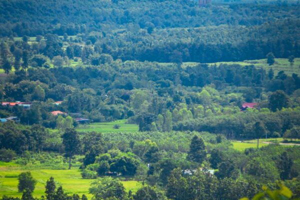 ที่เที่ยวกาฬสินธุ์_ภูสิงห์-44 ที่เที่ยวกาฬสินธุ์_ภูสิงห์-44