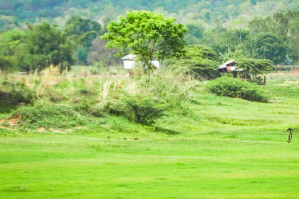 ที่เที่ยวกาฬสินธุ์_เมืองน้ำดำเอ็นดูโร่-29 ที่เที่ยวกาฬสินธุ์_เมืองน้ำดำเอ็นดูโร่-29