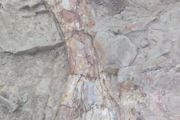 ภูน้อย1 ภูน้อย1