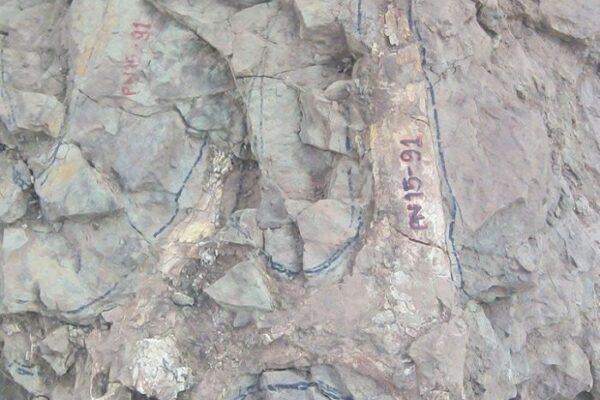 ภูน้อย2 ภูน้อย2