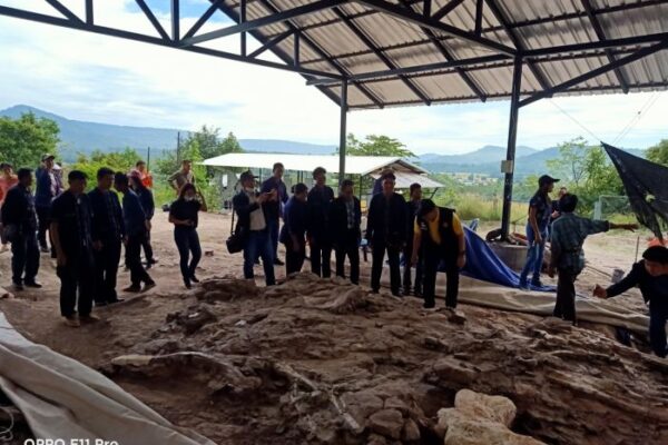 ภูน้อย4 ภูน้อย4